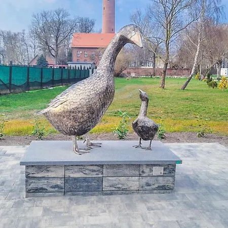 U Dziewczyn Daire Gąski