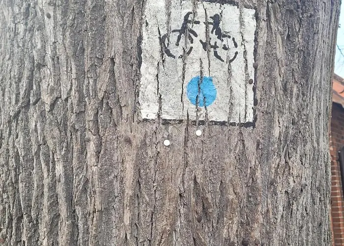 Διαμέρισμα U Dziewczyn *